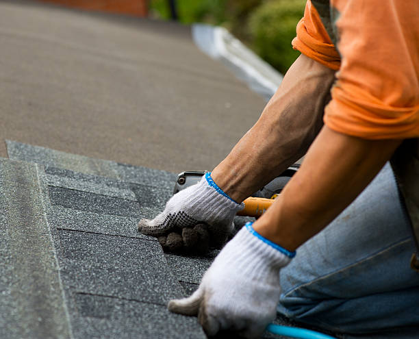 Roof Gutter Cleaning in North Decatur, GA
